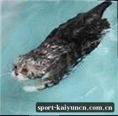王浩